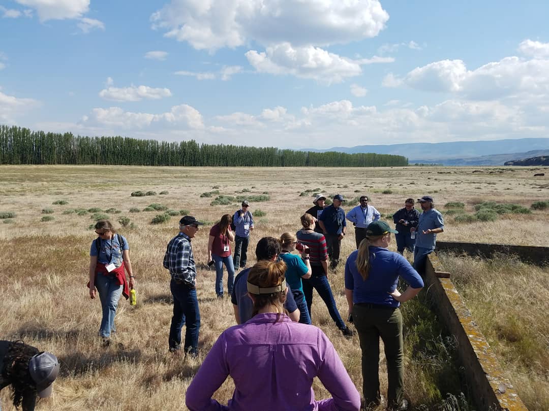 Group fieldwork and training